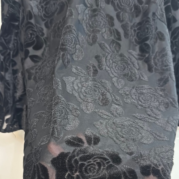 Entro Whimsigoth Black Sheer Blouse with Roses. Size M. - Picture 5 of 6